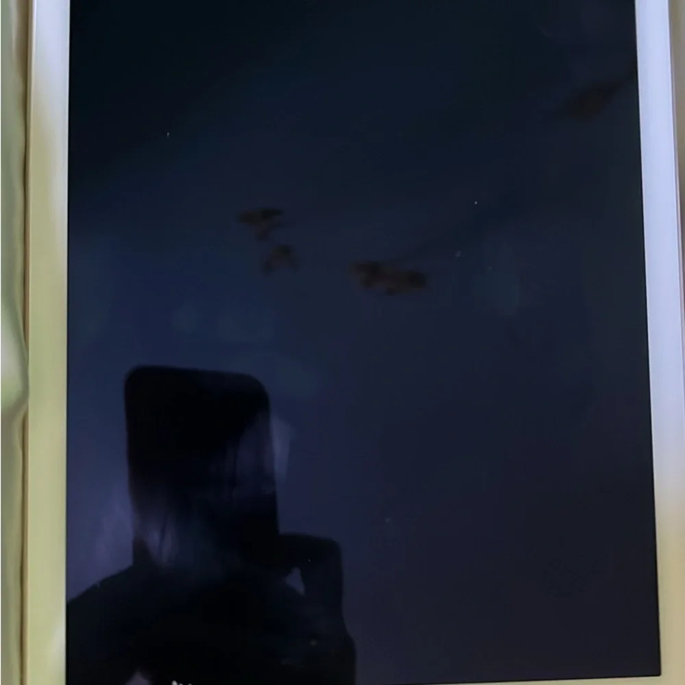 Apple ipad air